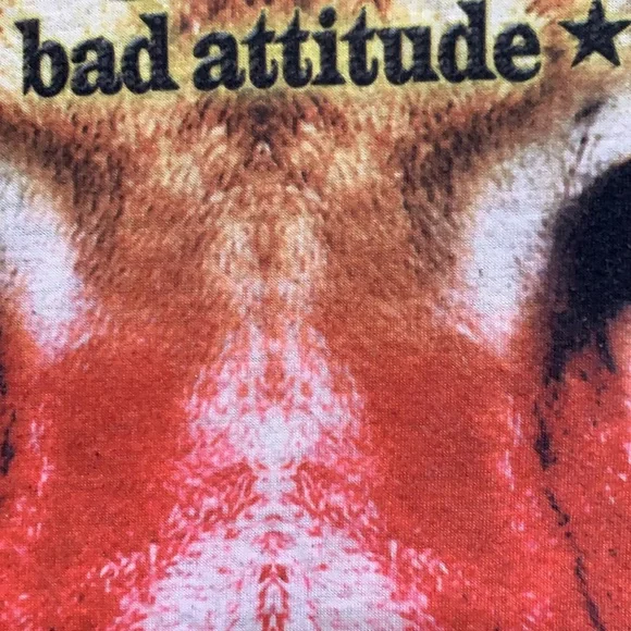 HUSTLER - Picture 5 of 7